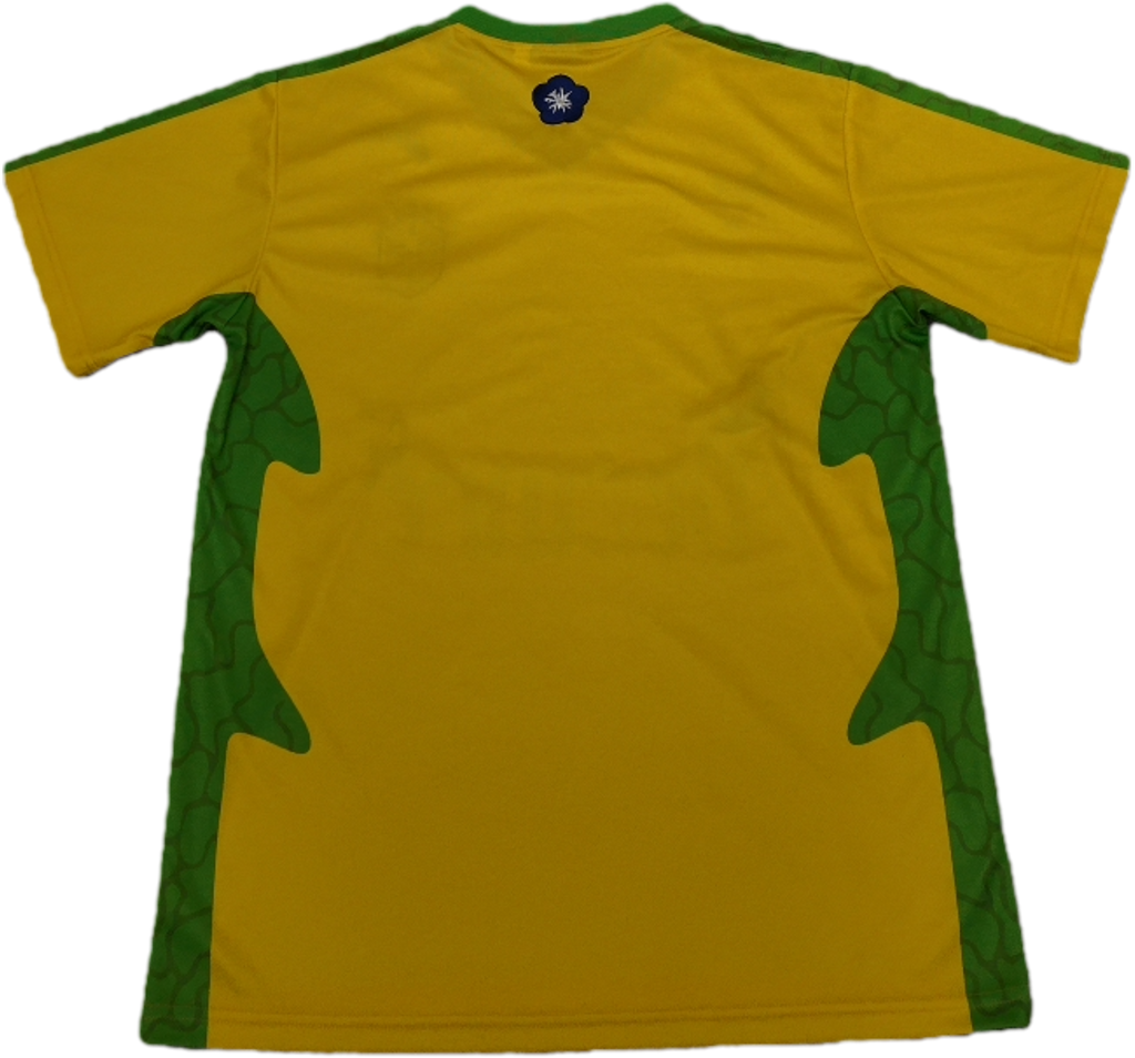 Vezture Brasil jersey