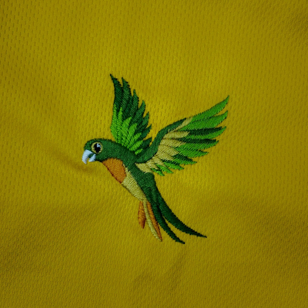 Vezture Brasil jersey